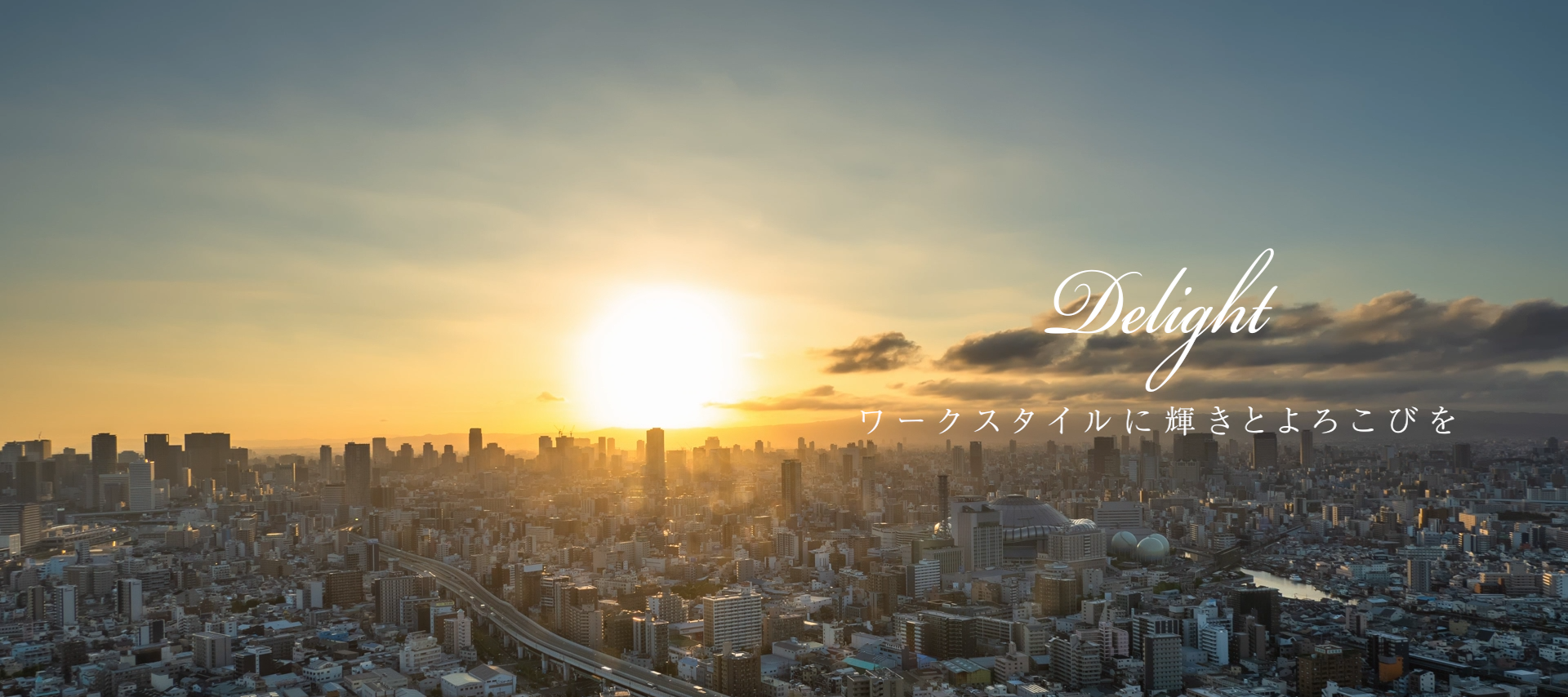 Delight